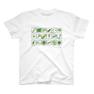 【学習シリーズ】微生物（カナ） Regular Fit T-Shirt