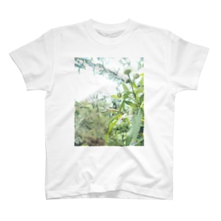 希望の花 Regular Fit T-Shirt