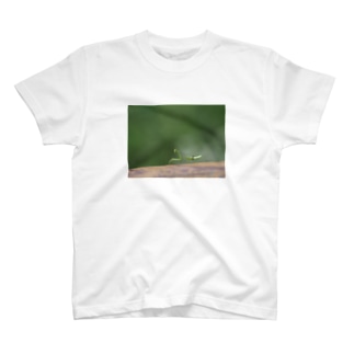 カマキリの幼虫 Regular Fit T-Shirt