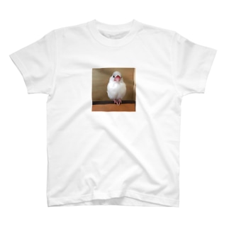 白文鳥のおもちさん Regular Fit T-Shirt
