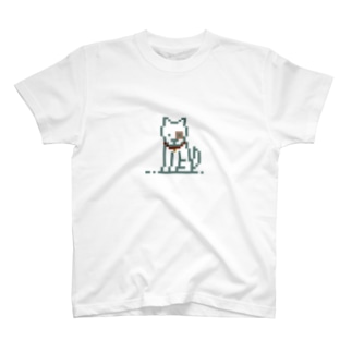 doggo Regular Fit T-Shirt