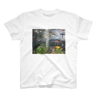 観賞魚 T-Shirt