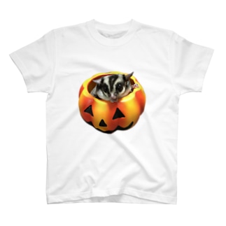 フクロモモンガのハロウィン Regular Fit T-Shirt