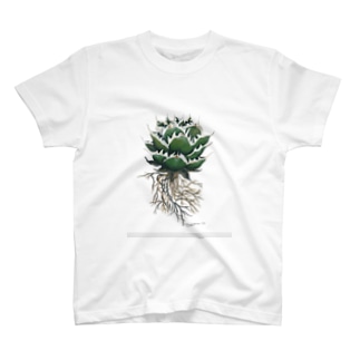 ➕ART PLANT Regular Fit T-Shirt