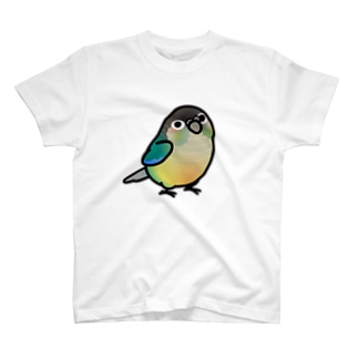 Chubby Bird ウロコインコ T-Shirt
