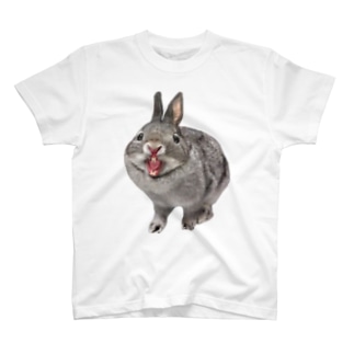 ウサギさんが遊んでほしがっている Regular Fit T-Shirt