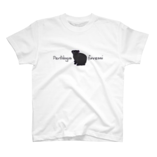 アマミノクロウサギPentalagus furnessi Regular Fit T-Shirt