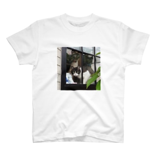 猫家族 Regular Fit T-Shirt