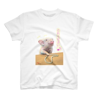 豚に真珠 Regular Fit T-Shirt