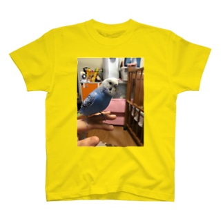 インコのトラ Regular Fit T-Shirt