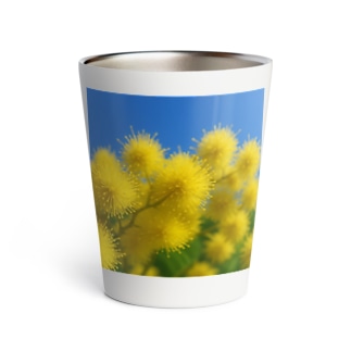 ミモザ Thermo Tumbler