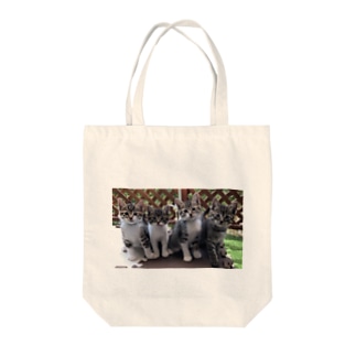 子猫 コキジちゃん Tote Bag