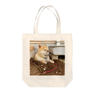 穴掘り犬こむぎさん Lgm のオリジナルアイテム グッズ通販 Suzuri スズリ 穴掘り犬こむぎさん Lgm のオリジナルアイテム グッズ通販 Suzuri スズリ