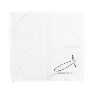 Ranzania laevis Towel Handkerchief