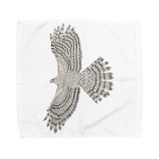 クーパーハイタカ_A Towel Handkerchief