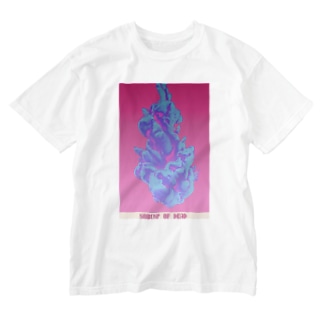 NOBUNP　【ALAHT】 Washed T-Shirt