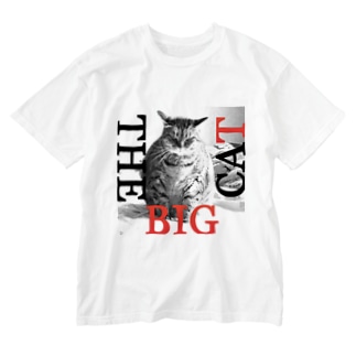 THE BIG CAT Washed T-Shirt