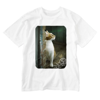 ウクライナの猫 MurchikくんとNikotinくん♡ Cats ♡ Ukrainian cats #ウクライナ 本と猫 Donation Items Washed T-Shirt