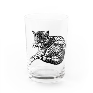 版画猫 Water Glass