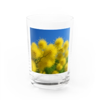 ミモザ Water Glass