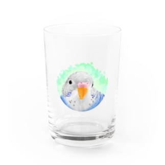 セキセイインコ　オパーリン【まめるりはことり】 Water Glass