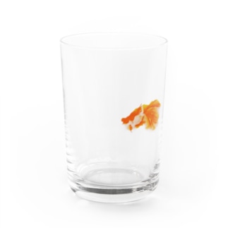 金魚ちゃん Water Glass