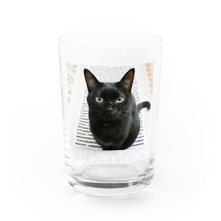 黒猫む〜広報部長 Water Glass