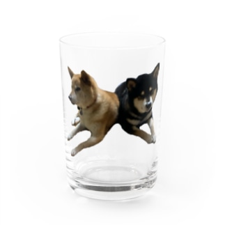柴犬2頭 Water Glass