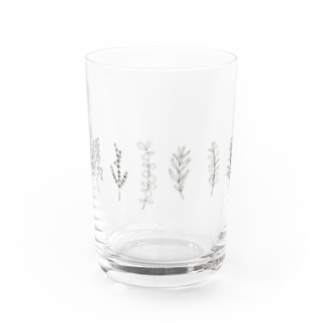 野草 Water Glass