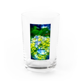 幸せの紫陽花❤️ Water Glass