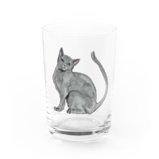 猫_ロシアンブルー Water Glass