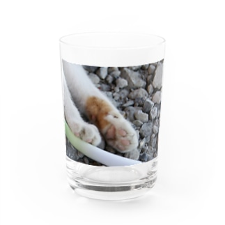 のラーメンファンクラブ 猫とネギ（にせもの） Water Glass