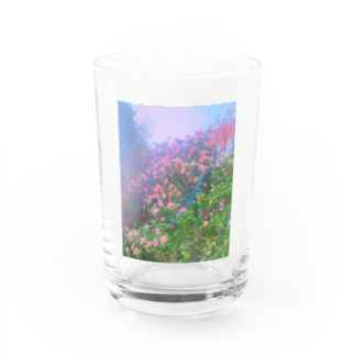 さくらんぼの風 Water Glass