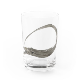 太刀魚だぞっ‼️ Water Glass