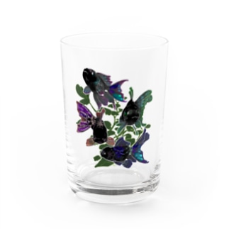 黒オランダ Water Glass