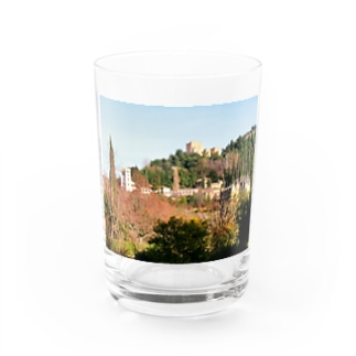 スペイン：アルハンブラ宮殿の冬景色　Spain: view of la Alhambra / Granada Water Glass