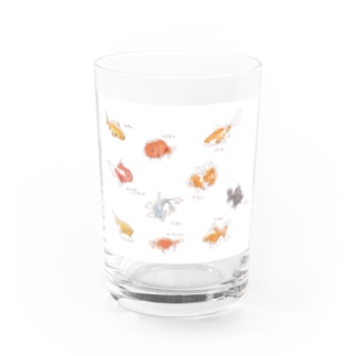金魚10匹 Water Glass