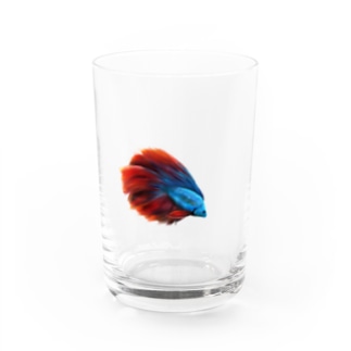 青ベタちゃん Water Glass