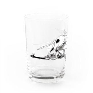 AGYS.Lla.2 Water Glass