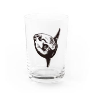 翻車魚-マンボウ Water Glass