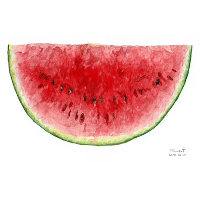 VEGETABLE