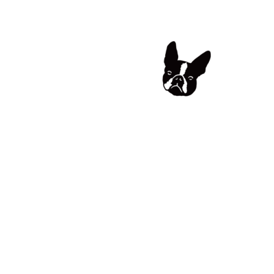 動物
