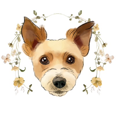 Jack Russell Terrier
