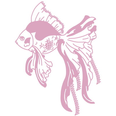 姫金魚２種