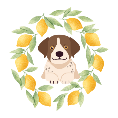 犬