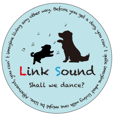 Link Sound