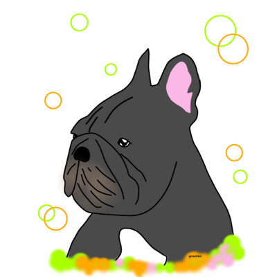 癒し犬 フレンチブルドッグ