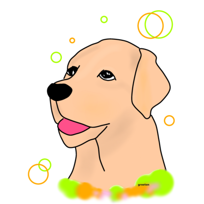 癒し犬 ラブラドールレトリバー