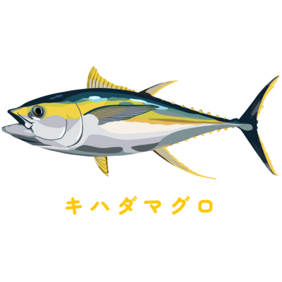 キハダマグロ