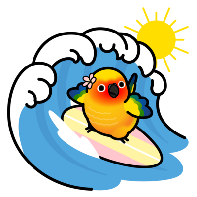 コガネメキシコインコ　サーフィン